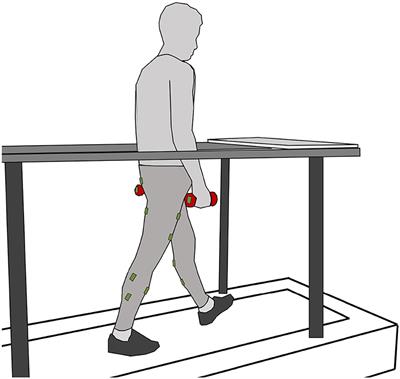 Exploring surface electromyography (EMG) as a feedback variable for the human-in-the-loop optimization of lower limb wearable robotics